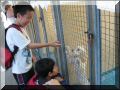 BCSPCA OCT 2006 028.jpg